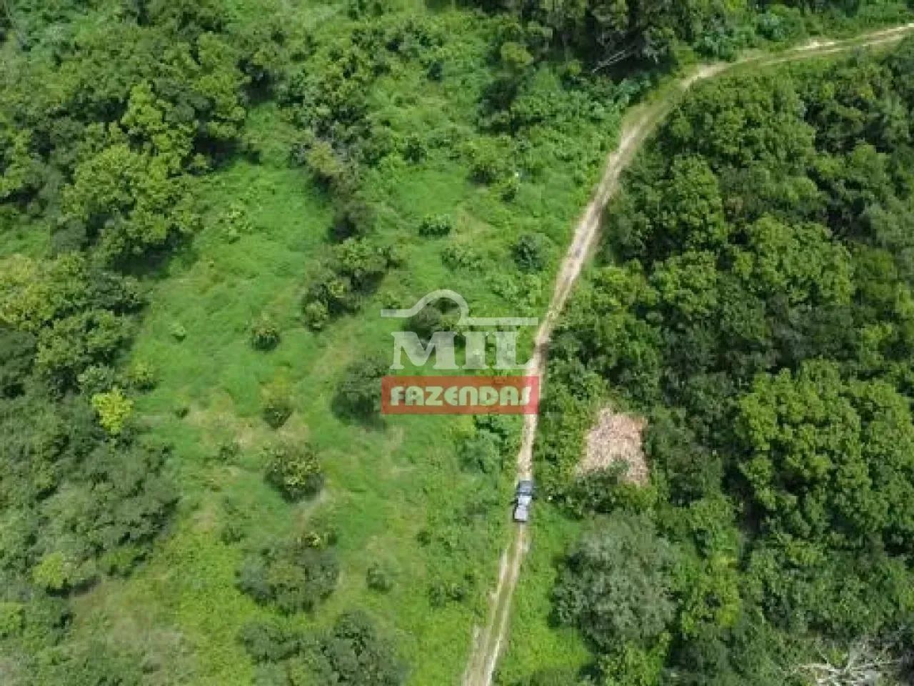 Fazenda 5.889 alqueires (28.500 hectares) Dianópolis - To - Foto 2
