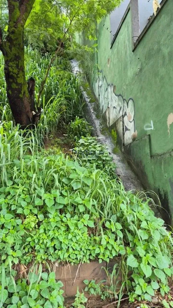 EXCELENTE LOTE A VENDA NO BAIRRO NOVA SUISSA! - Foto 2