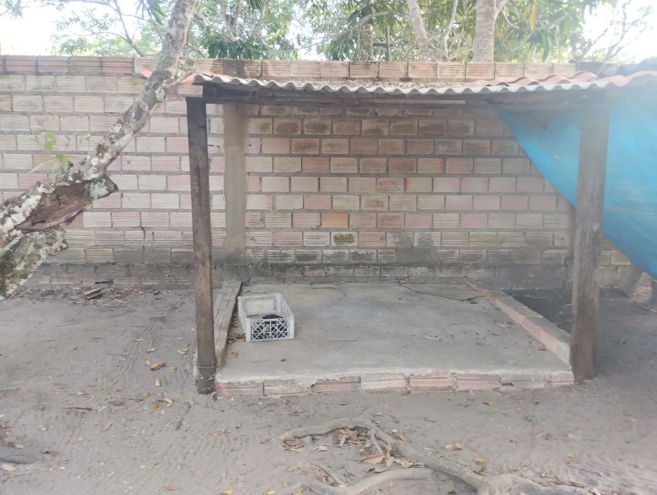 Vendo o imóvel no Campo Novo  - Foto 4