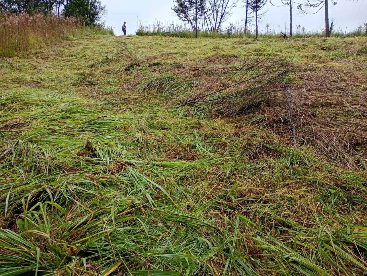 Foto - Campo Magro - 