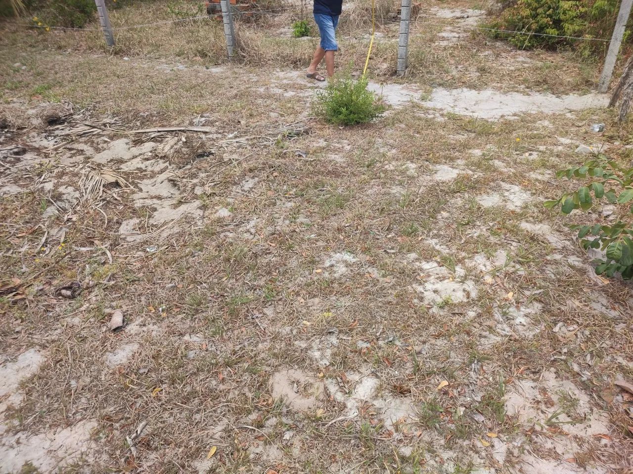 Vendo terreno em paracuru  - Foto 5
