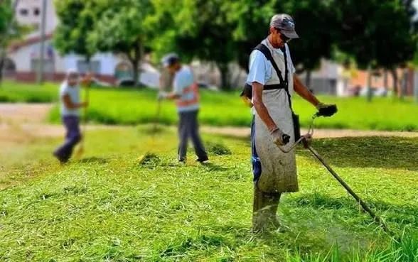 Serviço de limpeza e manutenção de lote 
