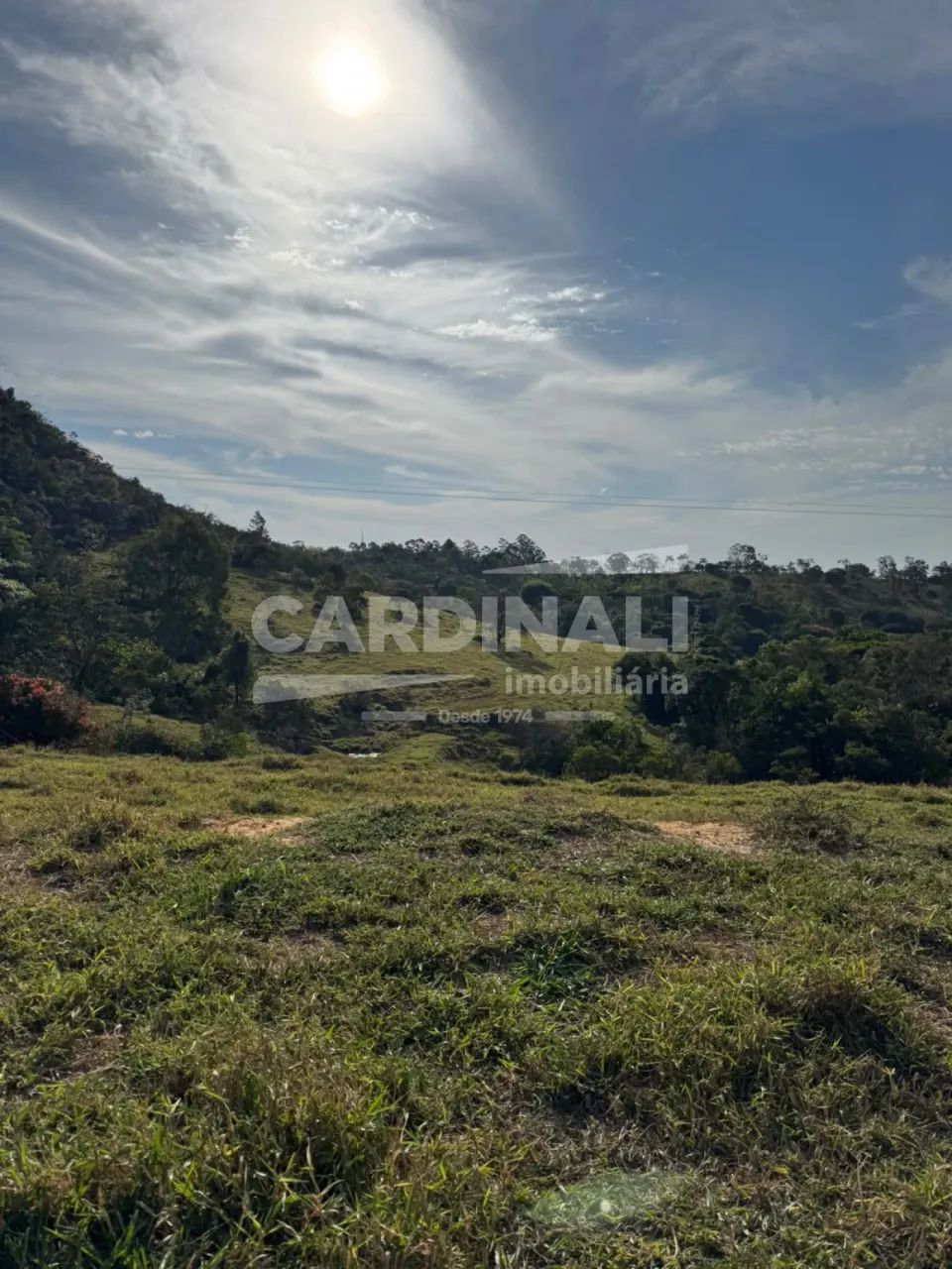 Área Rural à Venda em Itirapina/SP - Foto 5