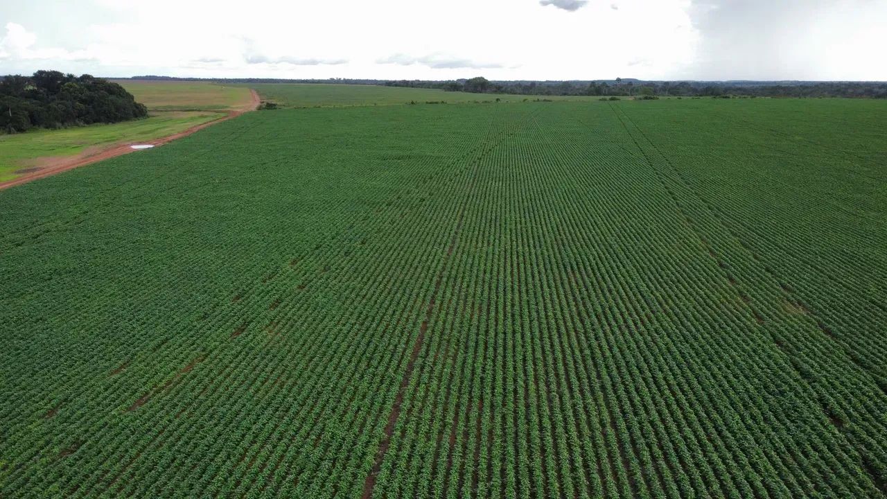 Fazendaa venda, Barra do Ouro - Tocantins! - Foto 5