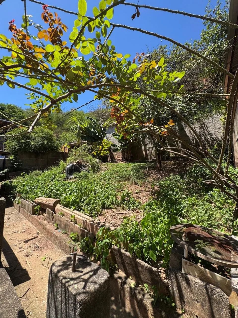 Casa a Venda - Foto 5