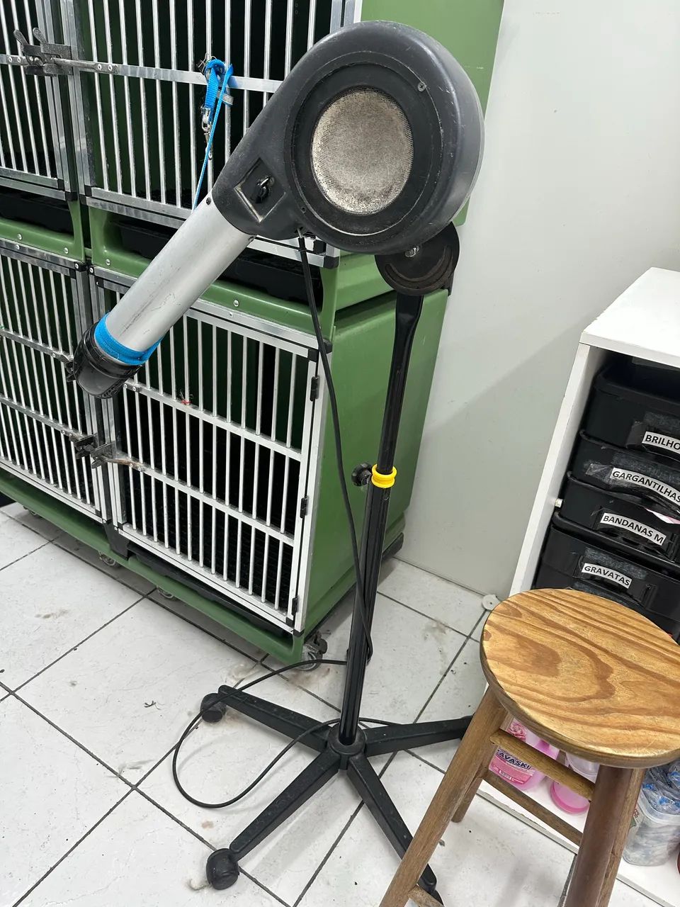 Secador para cães banho e tosa