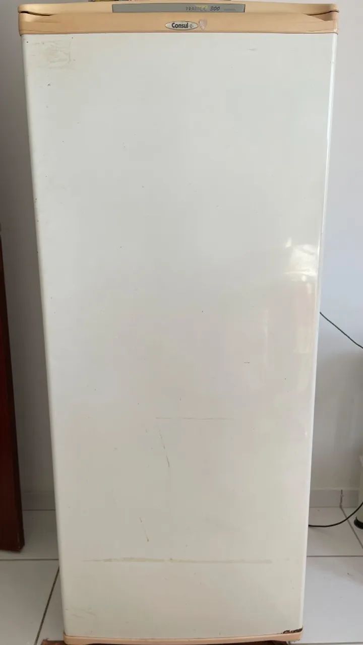 Geladeira Consul 300 L - Funcionando - Foto 2
