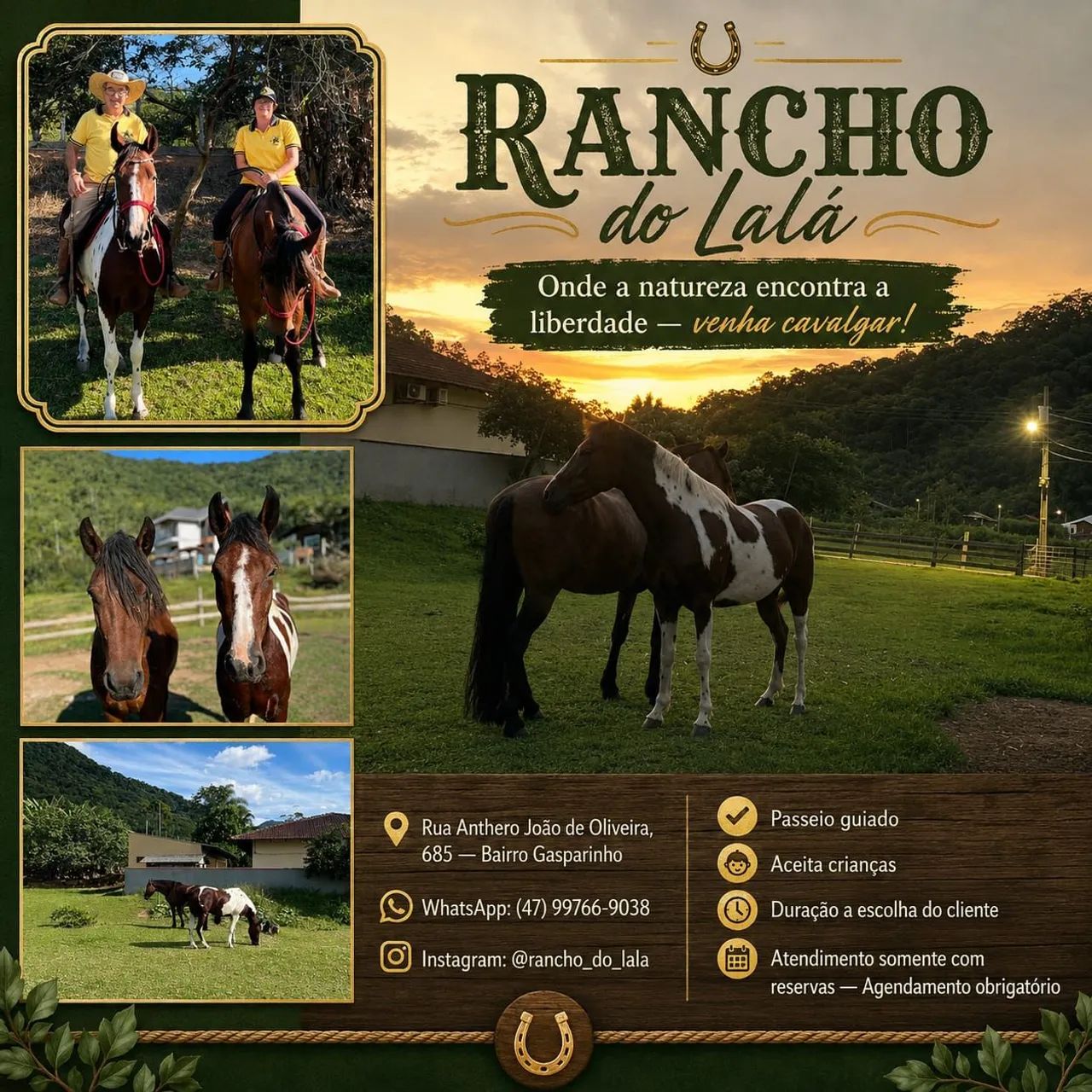 Aulas de Equitação e Passeio a Cavalo  - Foto 2