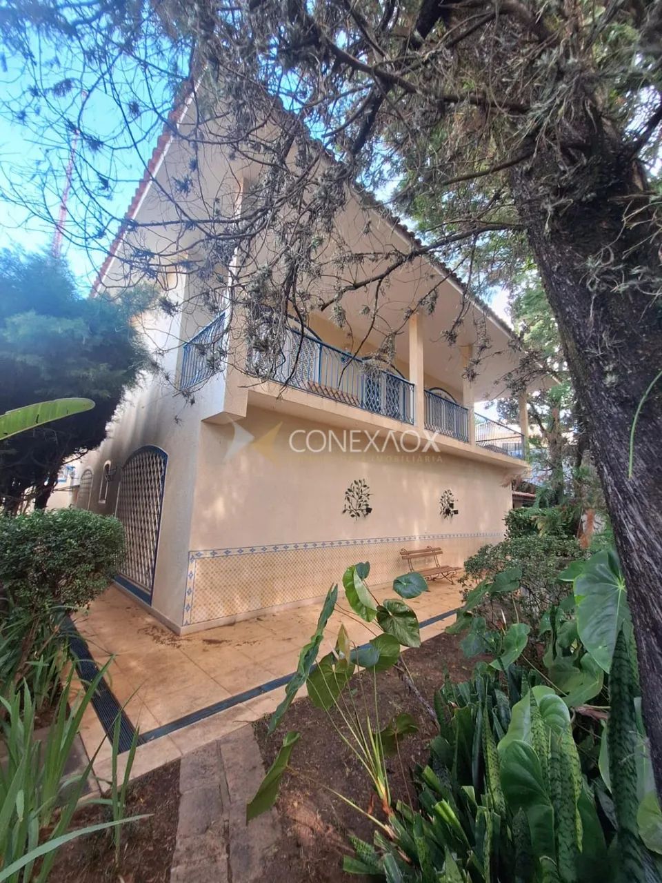casa - Jardim das Paineiras - Campinas