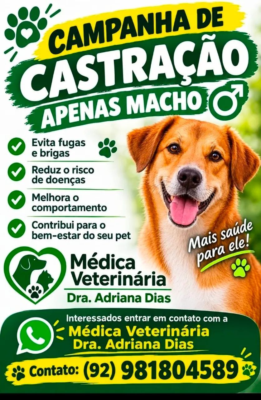 Camapanha