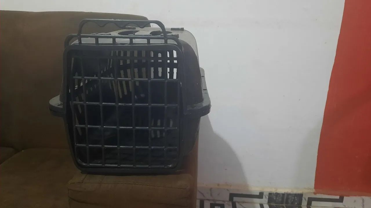 Caixa de gato/cachorro pequeno 