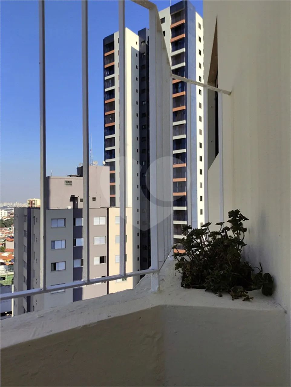 Apartamento com 2 quartos para locação em Tucuruvi - SP - Foto 2