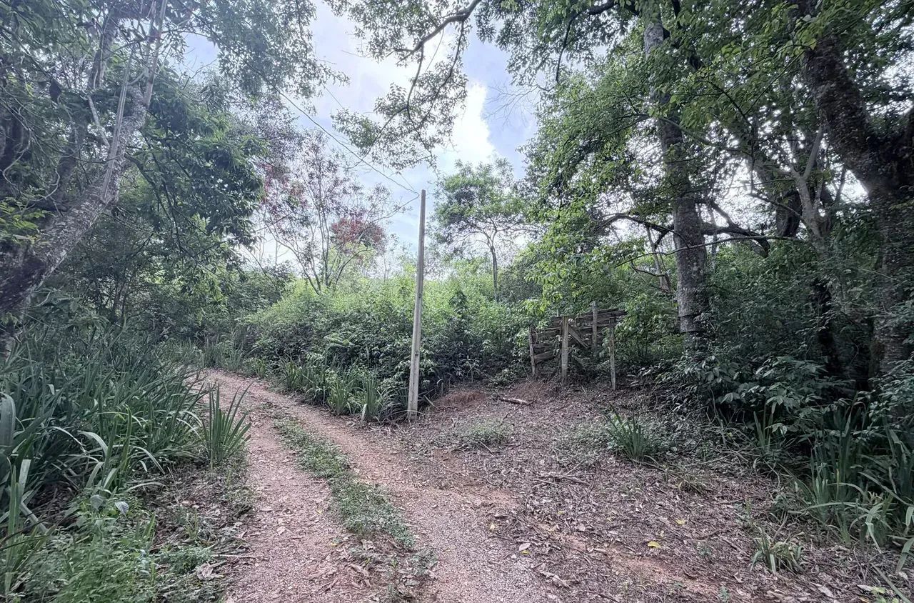 Imóvel para venda possui 65000 metros quadrados em Área Rural de Pinhalzinho - Pinhalzinho - Foto 5