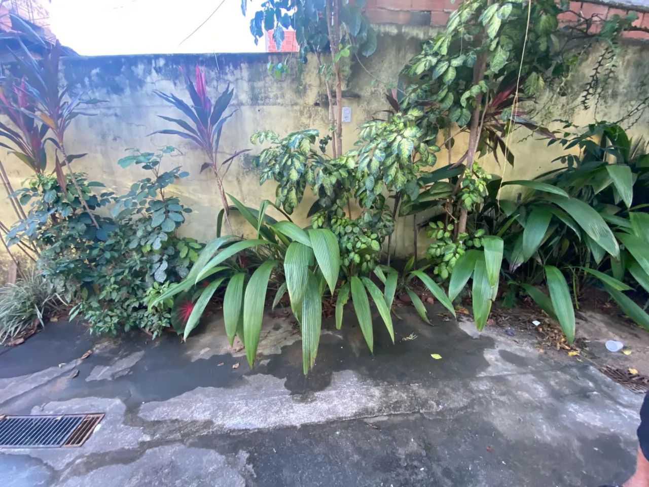 Aluguel casa Alcântara  - Foto 5