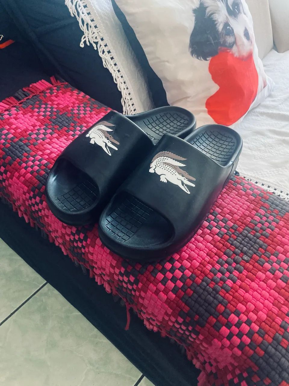 chinelo Lacoste original Nunca usado