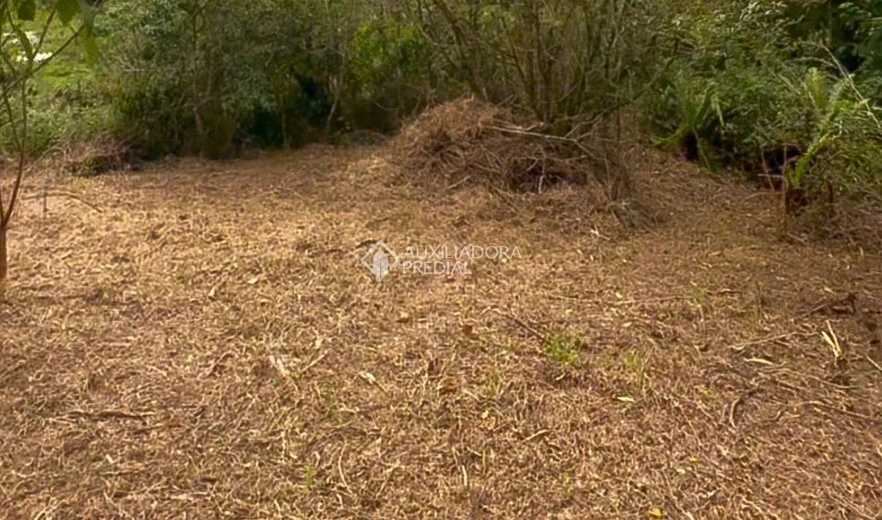 Terreno de 1000m² em Garopaba - Foto 5