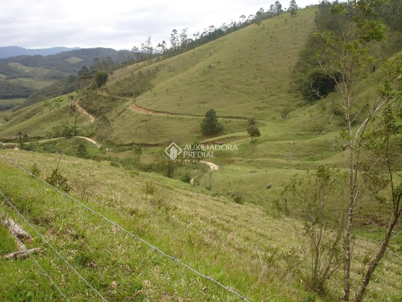 Área rural com 20 ha (20 hectares) em São Pedro de Alcântara