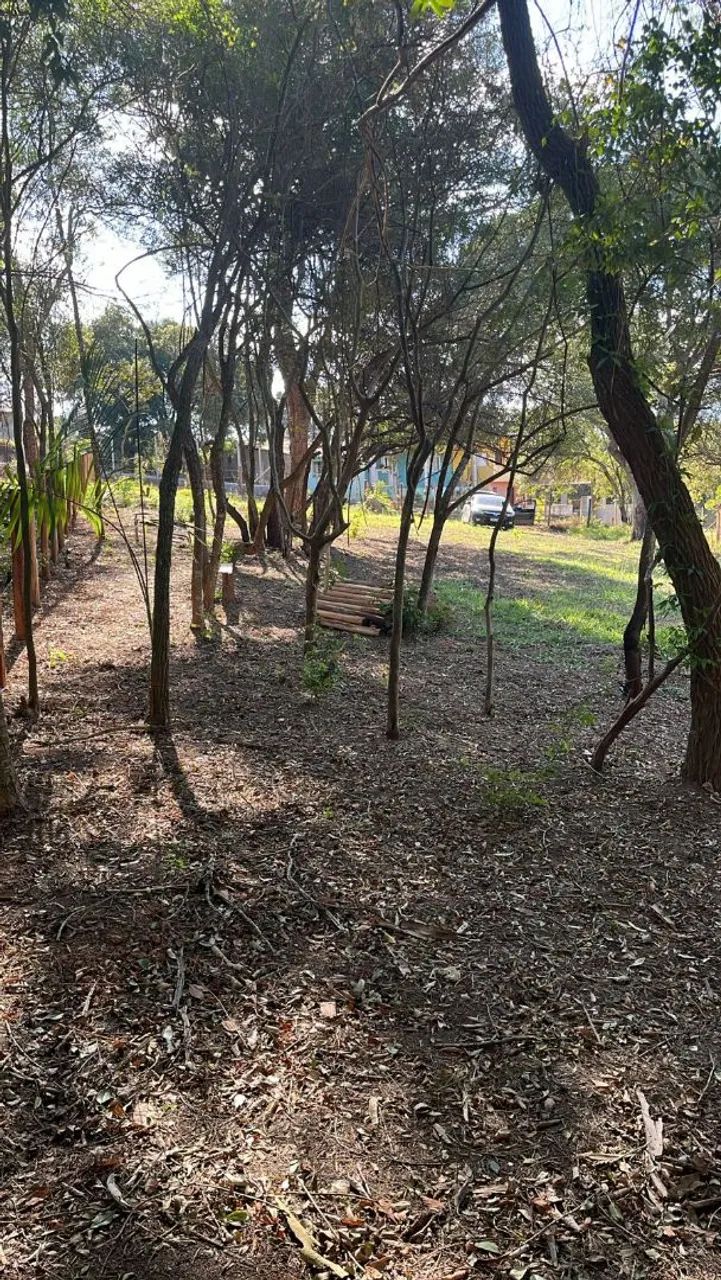 TERRENO IBIUNA  - Foto 5