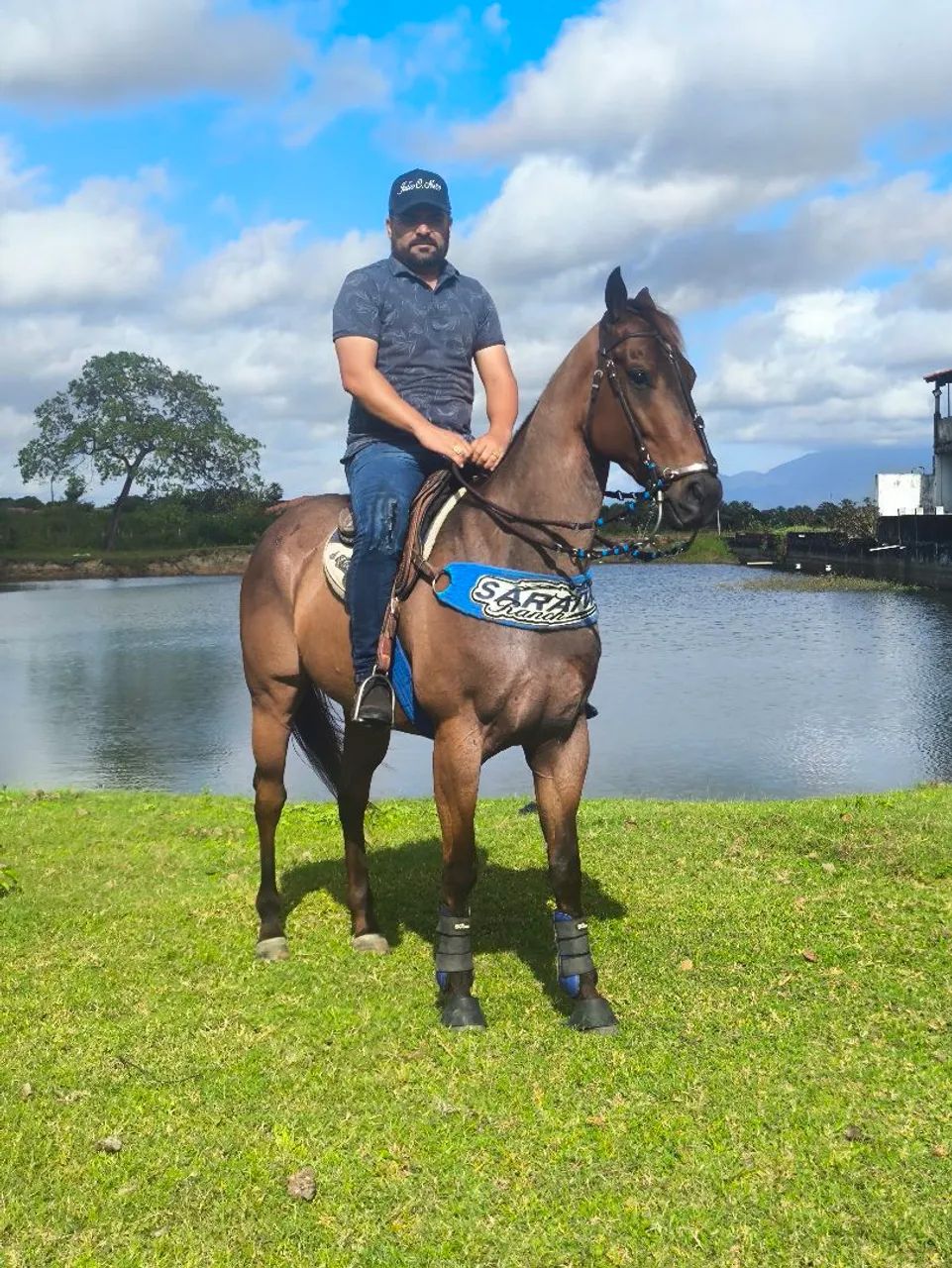 Vende- se cavalo iniciado na direita!! No preço animal sem defeito! - Foto 5