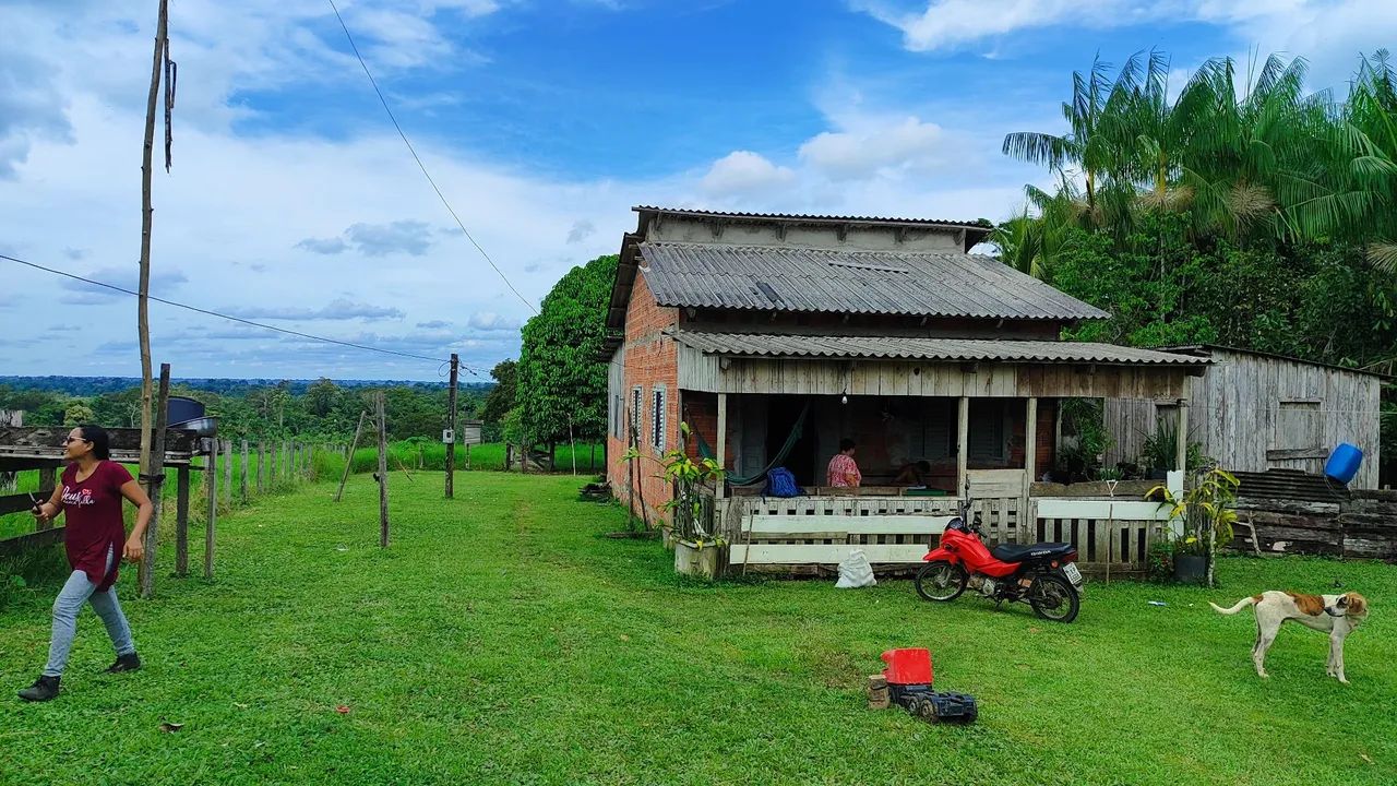 Colônia  - Foto 2