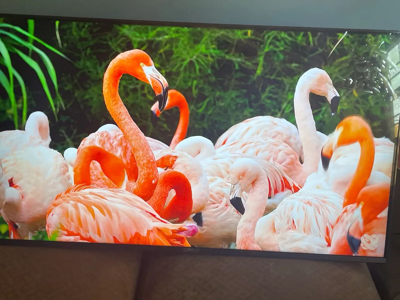 Televisão  - Foto 3