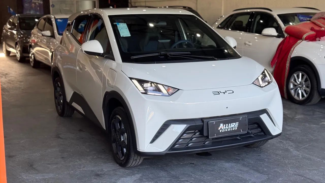BYD Dolphin Mini (Elétrico) 2027