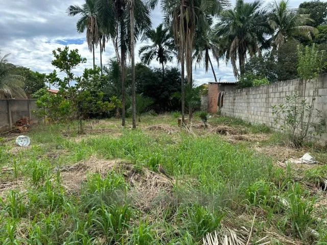 Terreno à Venda, Centro (murado) - Foto 3