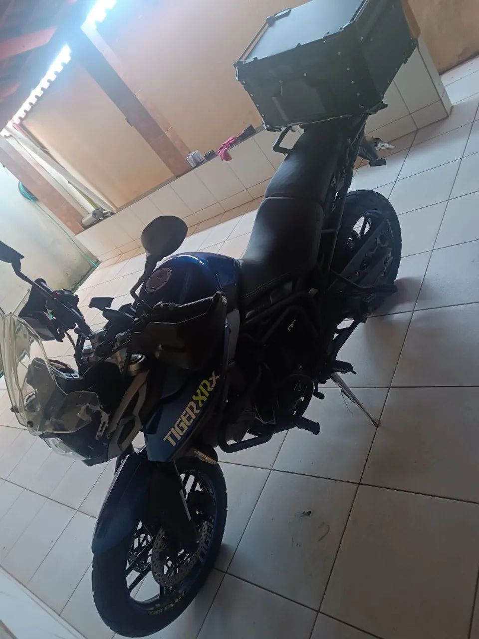 Tiger 2017 - Foto 2
