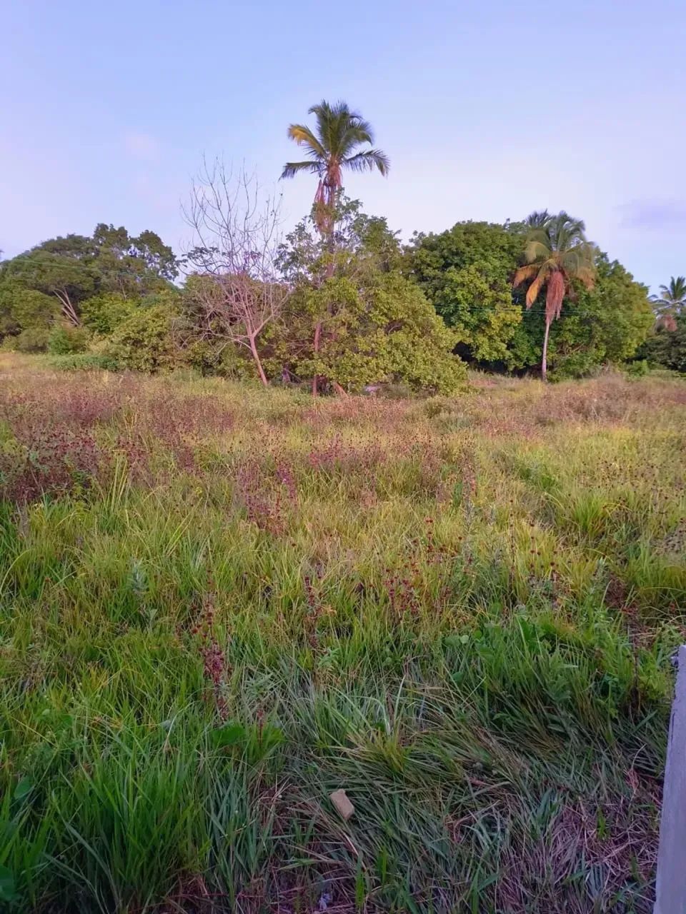 Repasse de lotes - Porto de Galinhas - Oportunidade!!
