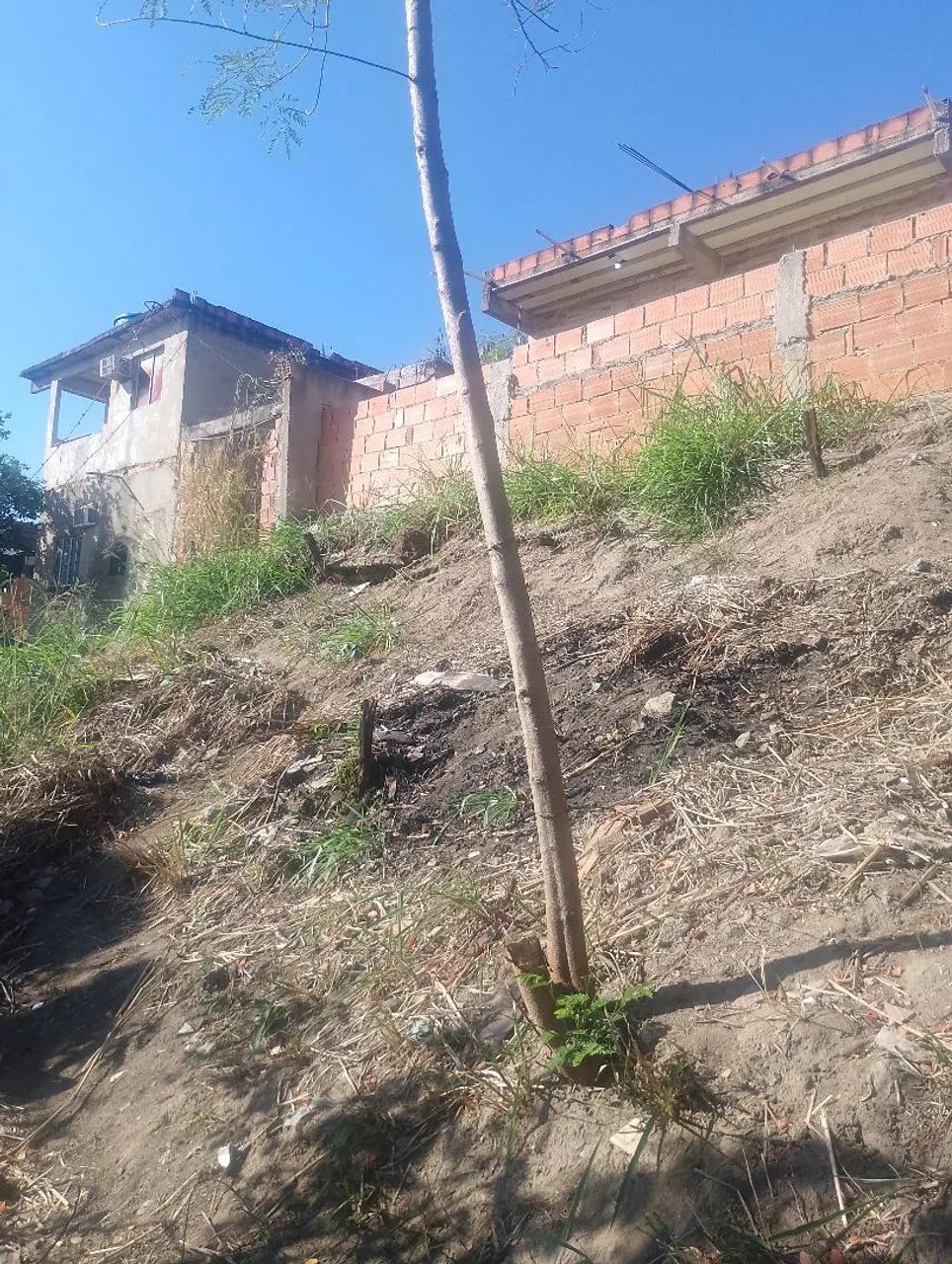 Terreno  - Foto 2