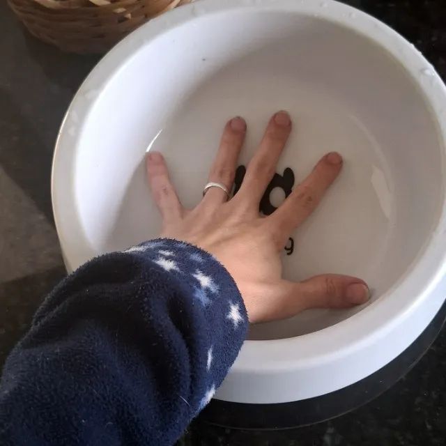 2 Comedouros Zee Dog G - Foto 2