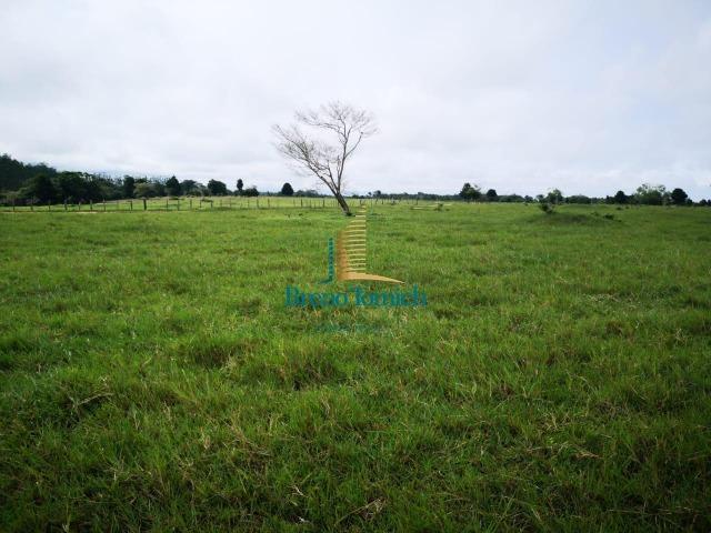 Fazenda á 3Km de Eunápolis - Foto 7