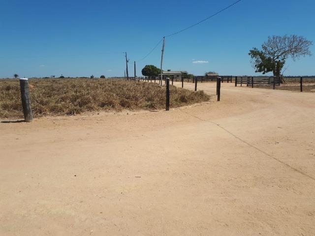 Fazenda de 220 alqueire em Novo Mundo -MT - Foto 7