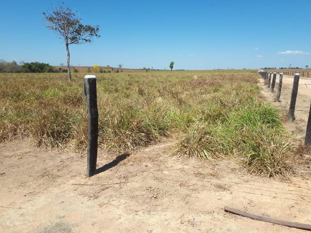 Fazenda de 220 alqueire em Novo Mundo -MT - Foto 9