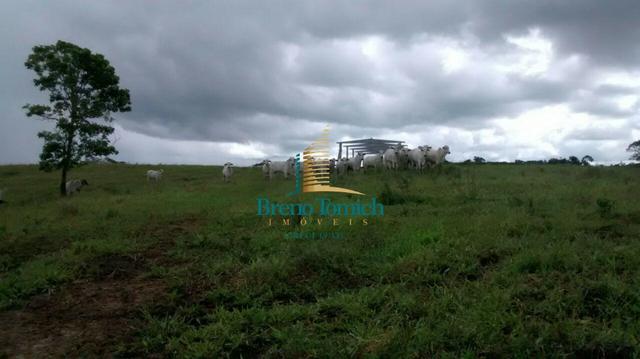 Fazenda em Santa Maria Eterna - Foto 15