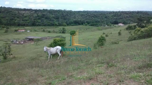 Fazenda 90KM de Eunápolis - Foto 7