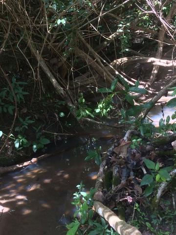 Fazenda 70 alqueires em Anicuns muito boa!!! - Foto 8