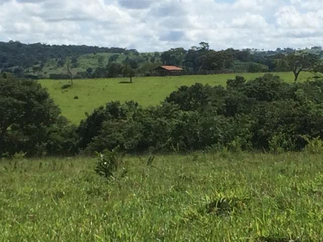 Fazenda 70 alqueires em Anicuns muito boa!!! - Foto 5
