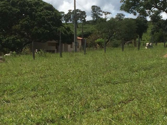 Fazenda 70 alqueires em Anicuns muito boa!!! - Foto 2