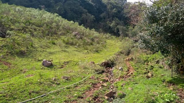 Sítio em Nova Petrópolis com 20,5 hectares - Foto 15