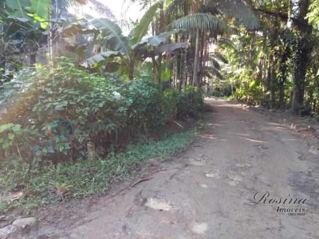Chácara à venda, 1180 m² por r$ 120.000 - américa de cima - morretes/pr - Foto 9