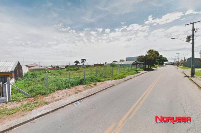 Terreno para alugar em Costeira, Sao jose dos pinhais cod:36066.001 - Foto 4