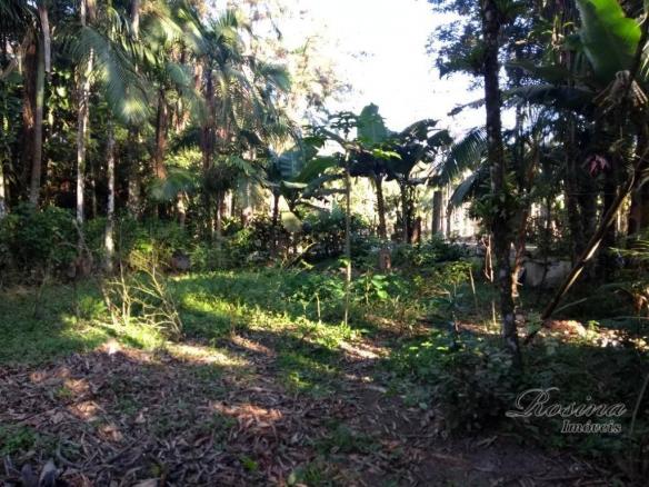 Chácara à venda, 1180 m² por r$ 120.000 - américa de cima - morretes/pr - Foto 17