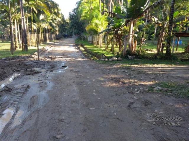 Chácara à venda, 1180 m² por r$ 120.000 - américa de cima - morretes/pr - Foto 10