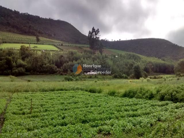 Fazenda produtiva, 116 ha, vale alpino, teresópolis, rj - Foto 6