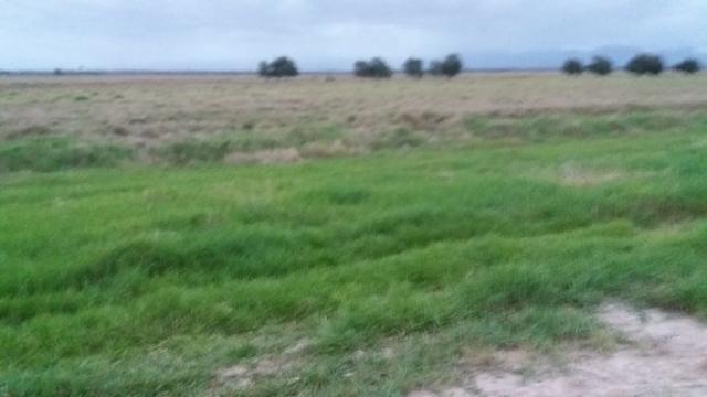 Venda-se está fazenda de 88 Alqueires no Estado do Rio de janeiro/ RJ - Foto 2