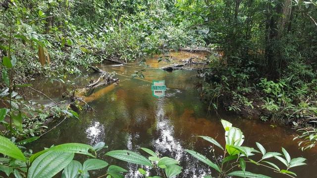 Maraú. Área para empreendimentos de condomínio ou resort hotel fazenda a beira do mar - Foto 15