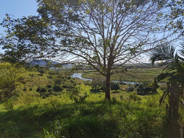 Vendo fazenda em Nova Almeida - Foto 8