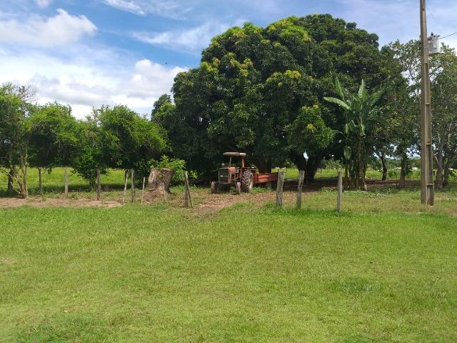 Chácara na região de Santo Antônio de Cuiabá com 32 HA Uma propriedade dos sonhos a 25 - Foto 4
