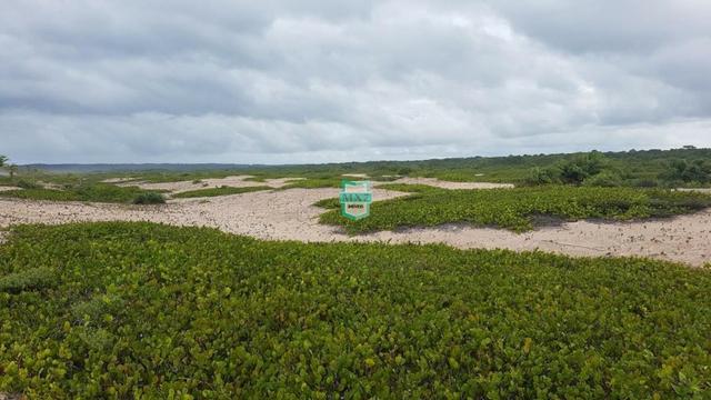 Maraú. Área para empreendimentos de condomínio ou resort hotel fazenda a beira do mar - Foto 13